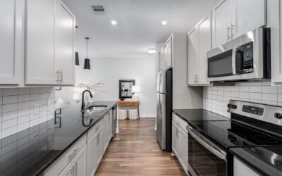 Elevate Everyday Elegance: The Ultimate Guide to 1 Bedroom Apartments in Virginia Beach